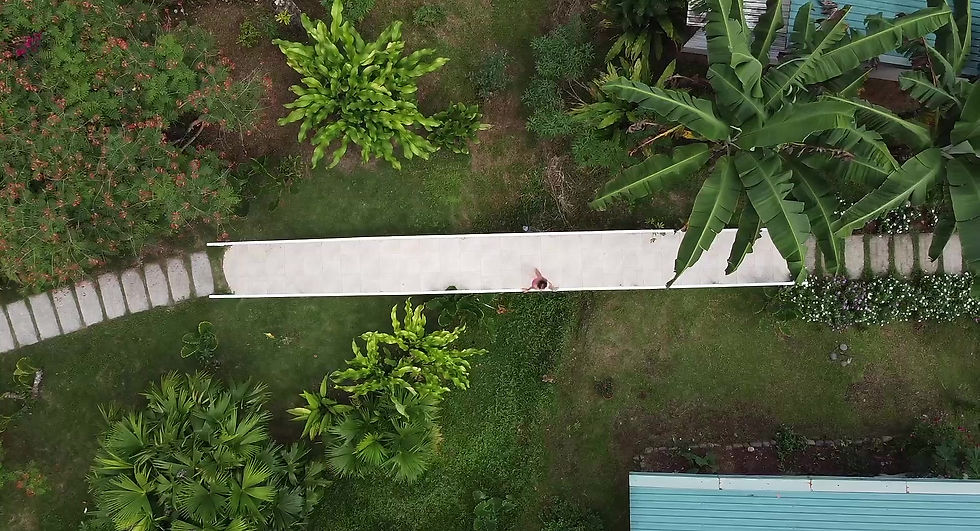 drone tropical garden